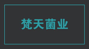 食品行业四川冲锋衣设计款式